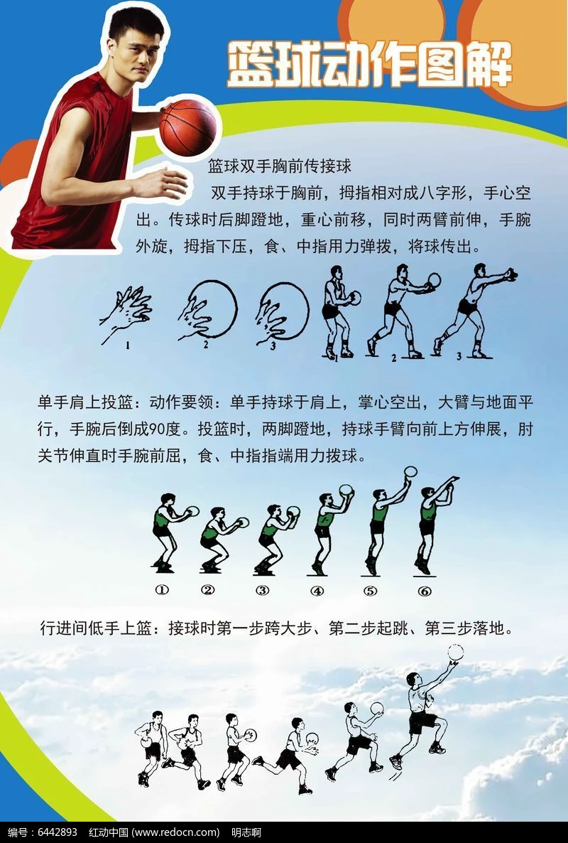 哪里能找到一对一的篮球训练指导_0